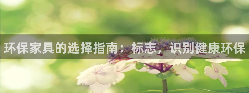 杏耀平台怎么样?