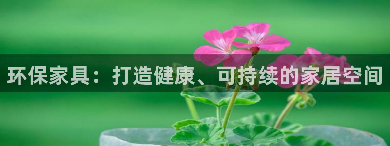 杏耀平台招商的流程