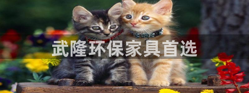 杏耀平台专用通道