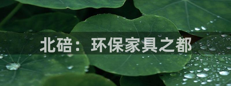 杏耀测速网址电脑版