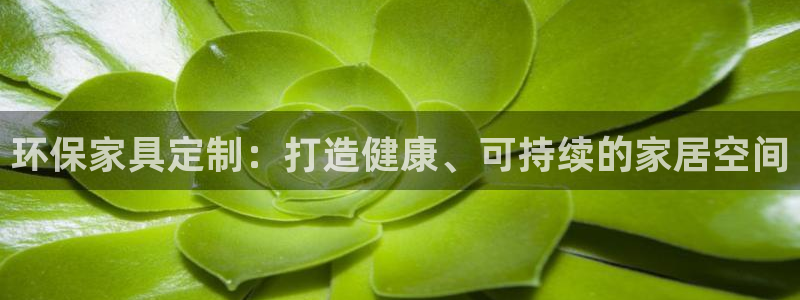 杏耀平台招商的流程