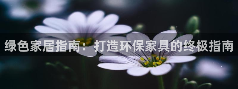 杏耀平台代理怎么赚钱快
