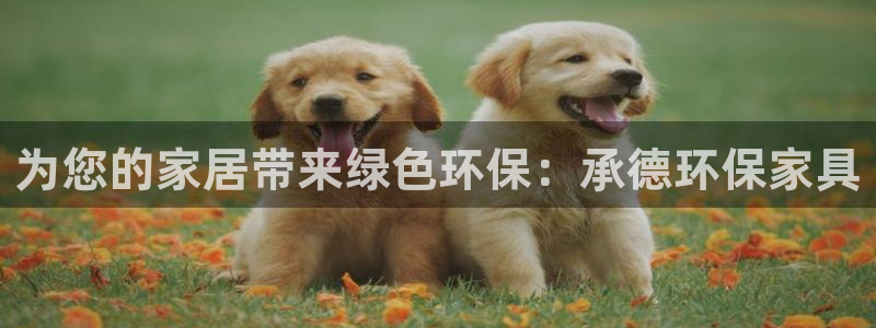 杏耀平台代理怎么赚钱的
