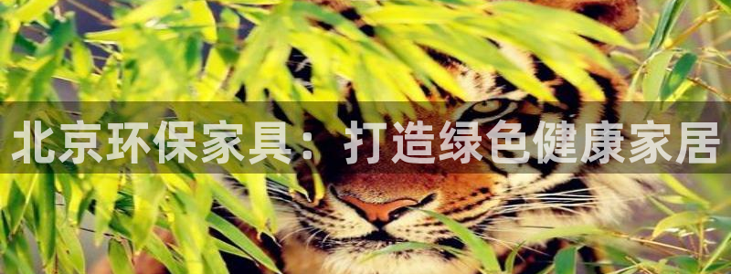 杏耀平台代理怎么赚钱快