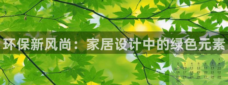 杏耀代理主管qq