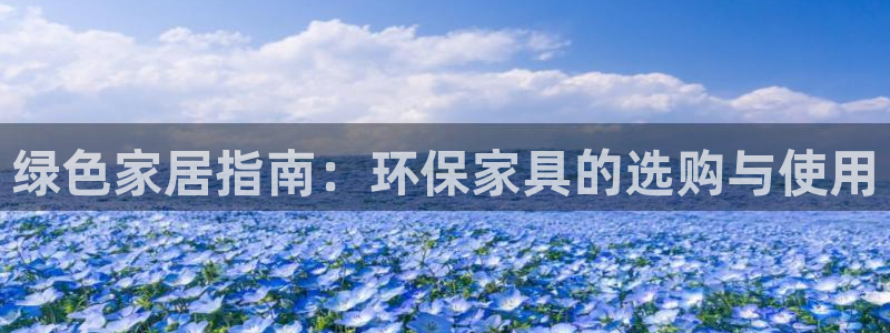 杏耀平台网站是什么