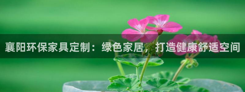 杏耀平台测速地址