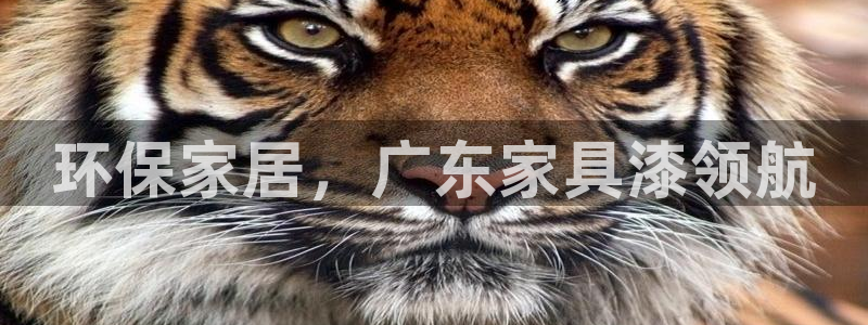 杏耀客户端登陆