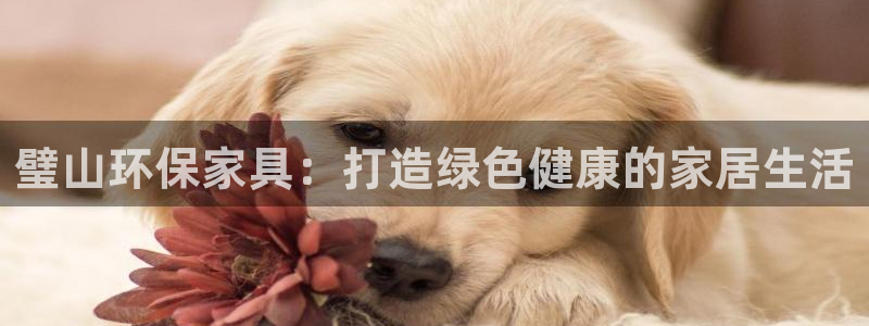杏耀登陆网站