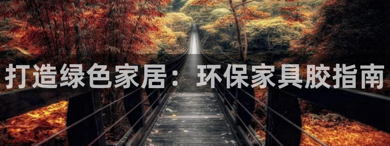 杏耀代理日工资多少