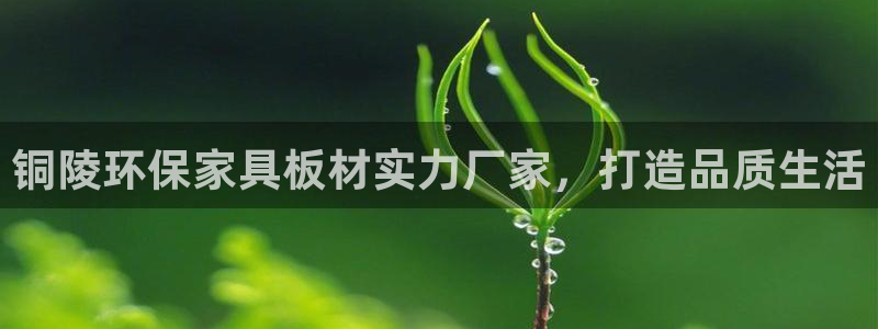 杏耀软件