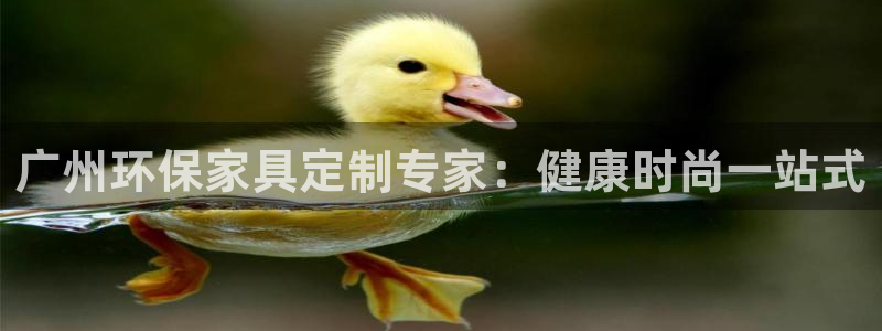 杏耀手机网页登录入口：广州环保家具定制专家：健康时尚一站式