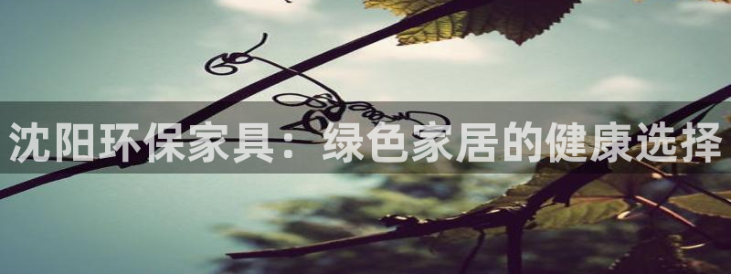 杏耀平台怎么注册：沈阳环保家具：绿色家居的健康选择