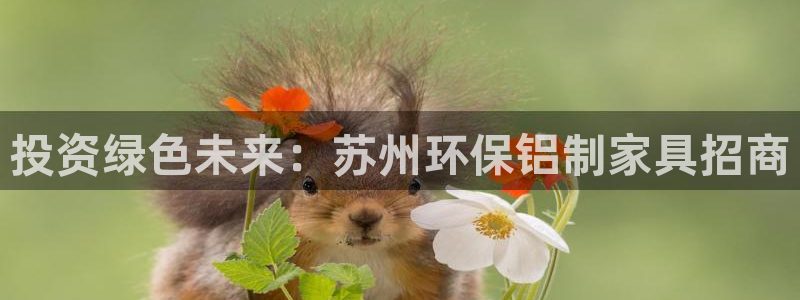 杏耀注册网址：投资绿色未来：苏州环保铝制家具招商