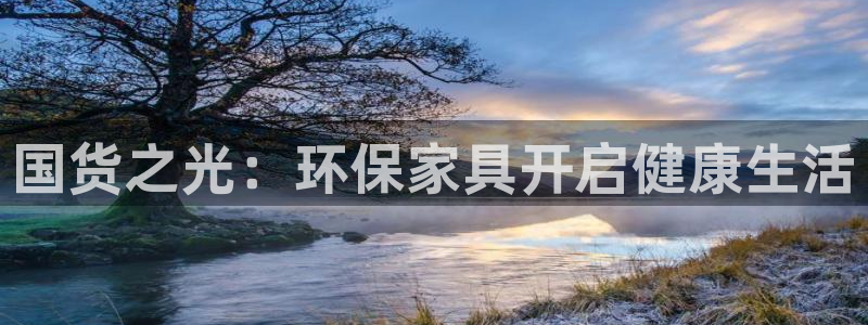 杏耀平台客服：国货之光：环保家具开启健康生活