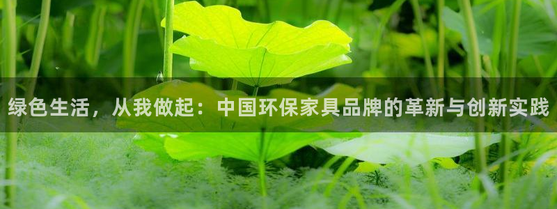 杏耀平台注册流程：绿色生活，从我做起：中国环保家具品牌的革新