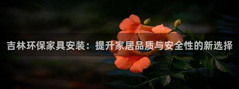 杏耀平台靠谱吗：吉林环保家具安装：提升家居品质与安全性的新选
