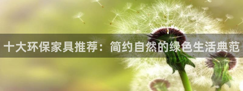 杏耀平台注册流程：十大环保家具推荐：简约自然的绿色生活典范