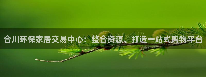 杏耀登入官网：合川环保家居交易中心：整合资源、打造一站式购物
