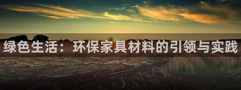 杏耀平台服务中心：绿色生活：环保家具材料的引领与实践