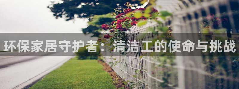 杏耀平台线路测速登录：环保家居守护者：清洁工的使命与挑战
