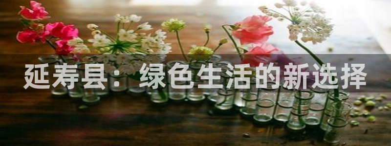 杏耀代理官网：延寿县：绿色生活的新选择
