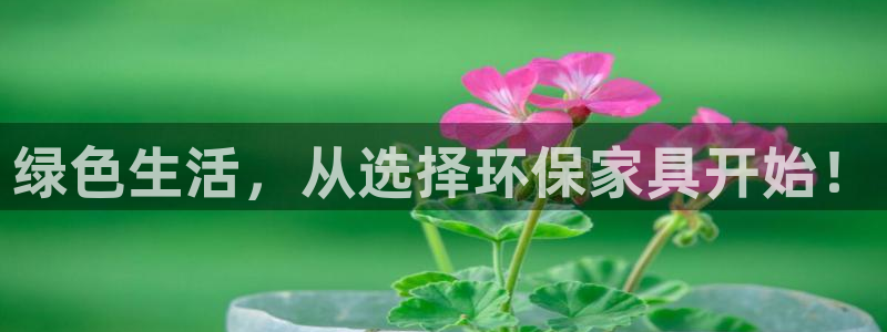 杏耀官方测速：绿色生活，从选择环保家具开始！