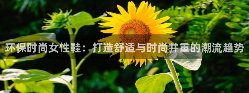 杏耀官网网站中心