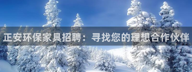 杏耀平台下载：正安环保家具招聘：寻找您的理想合作伙伴
