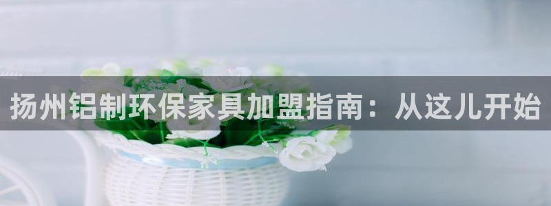 杏耀平台测速登陆：扬州铝制环保家具加盟指南：从这儿开始