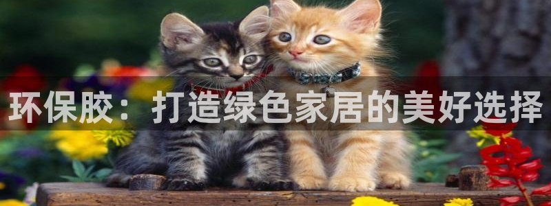 杏耀注册开户：环保胶：打造绿色家居的美好选择