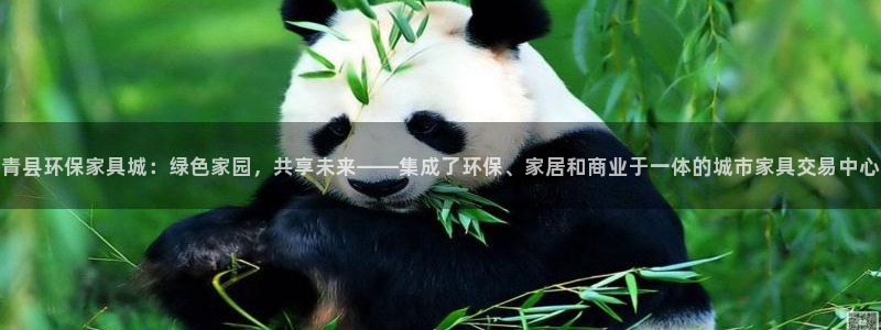 杏耀管网登录：青县环保家具城：绿色家园，共享未来——集成了环